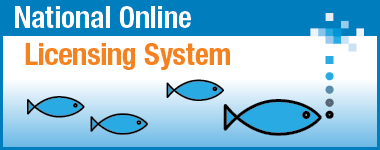 National Online Licensing System